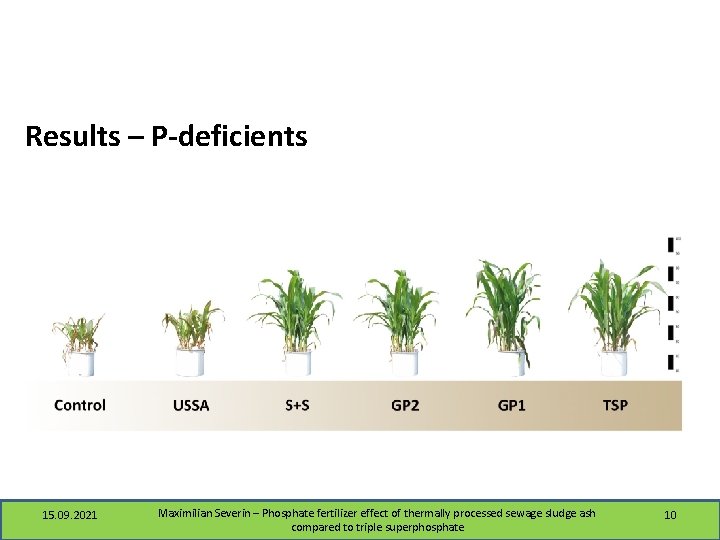 Results – P-deficients 15. 09. 2021 Maximilian Severin – Phosphate fertilizer effect of thermally