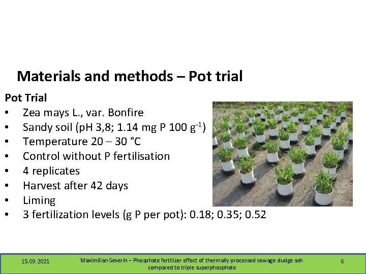 Materials and methods – Pot trial Pot Trial • Zea mays L. , var.