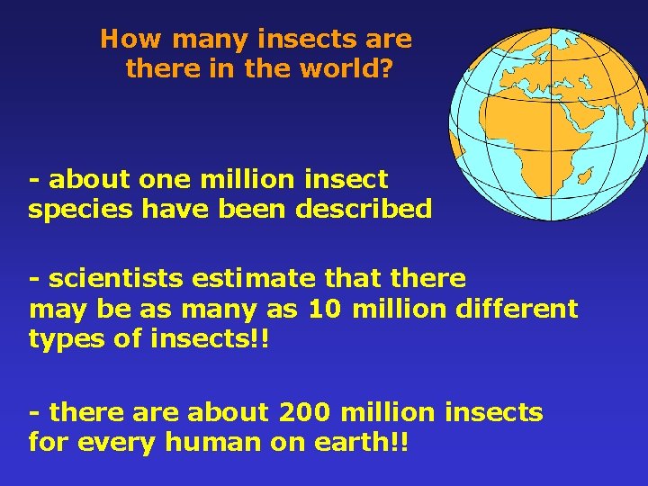 How many insects are there in the world? - about one million insect species