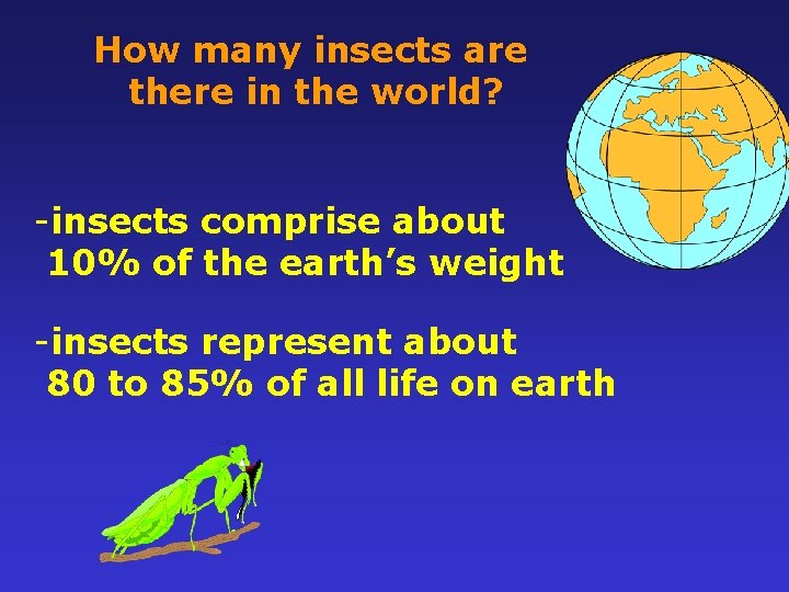 How many insects are there in the world? -insects comprise about 10% of the