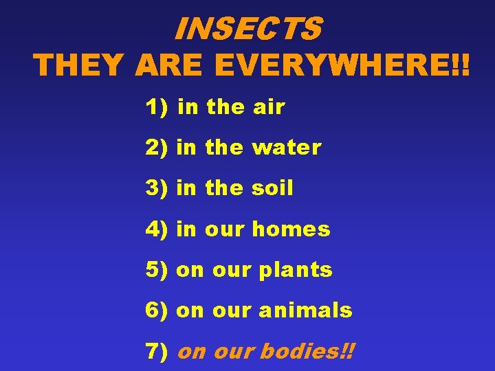 INSECTS THEY ARE EVERYWHERE!! 1) in the air 2) in the water 3) in