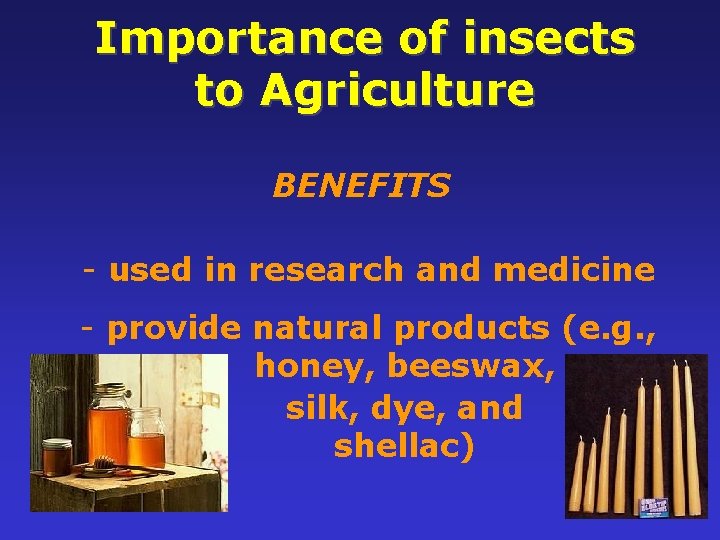 Importance of insects to Agriculture BENEFITS - used in research and medicine - provide