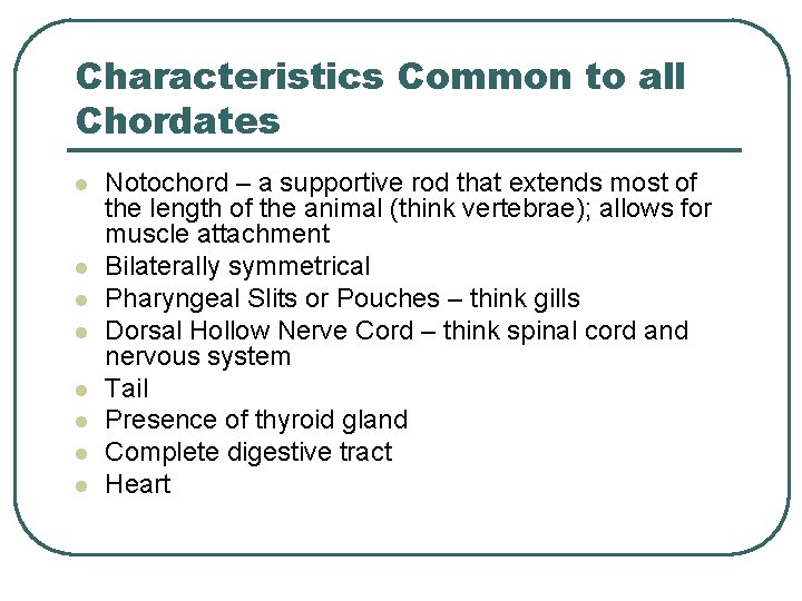 Characteristics Common to all Chordates l l l l Notochord – a supportive rod