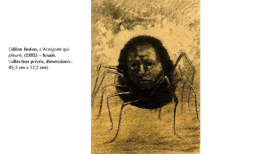 Odilon Redon, L’Araignée qui pleure, (1881) – fusain. Collection privée, dimensions : 49, 5