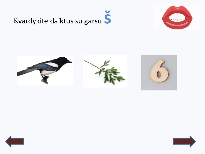 Išvardykite daiktus su garsu š 