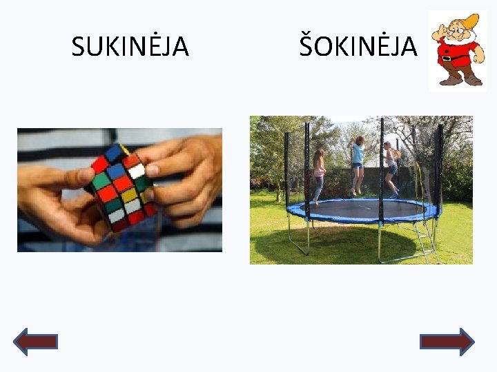 SUKINĖJA ŠOKINĖJA 