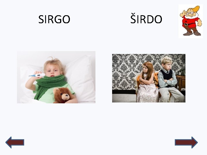 SIRGO ŠIRDO 