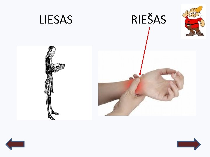 LIESAS RIEŠAS 