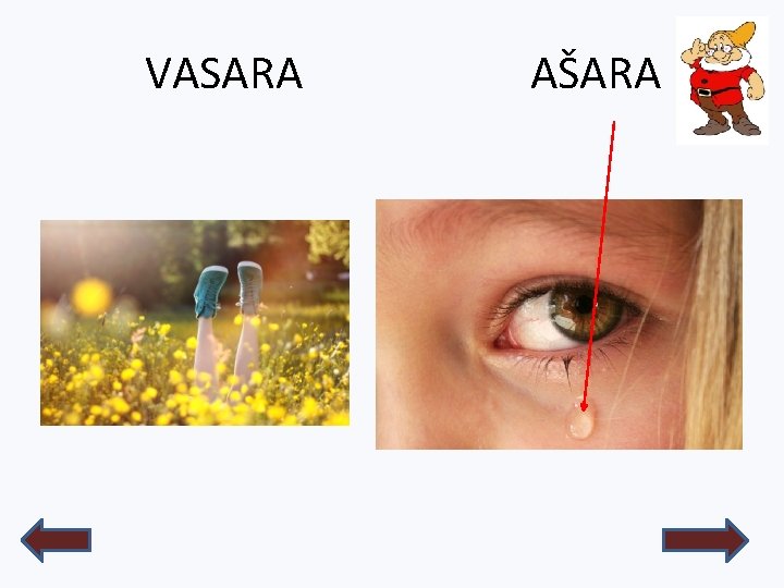 VASARA AŠARA 