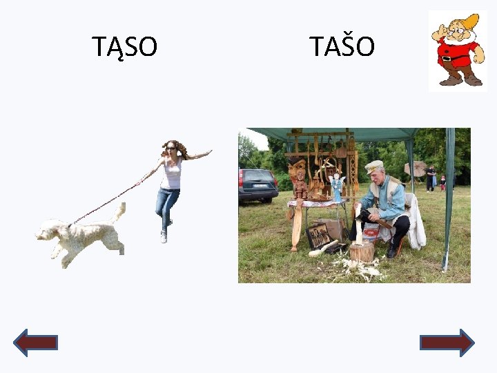 TĄSO TAŠO 