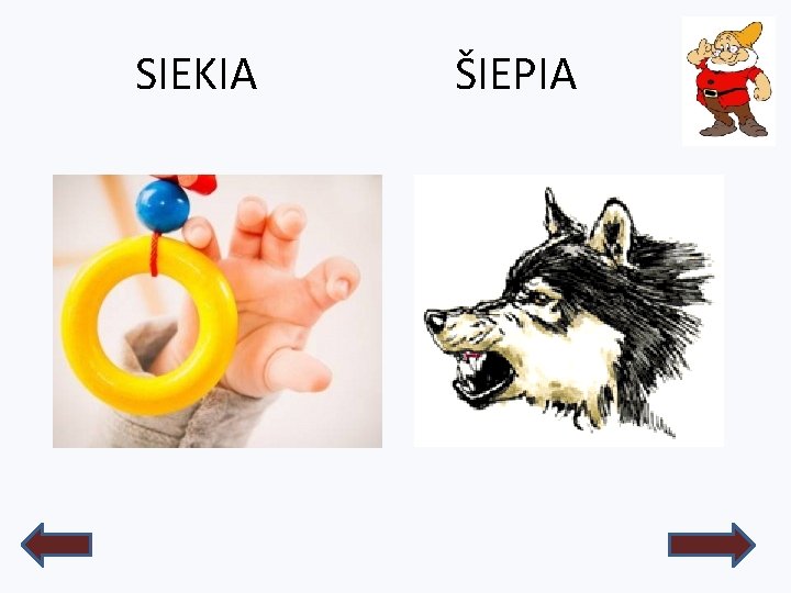 SIEKIA ŠIEPIA 