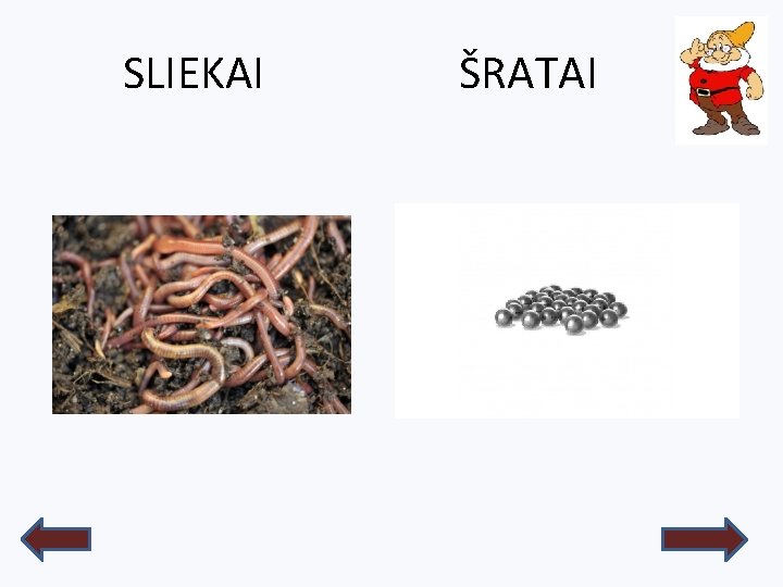 SLIEKAI ŠRATAI 