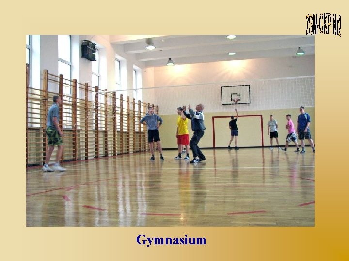 Gymnasium 