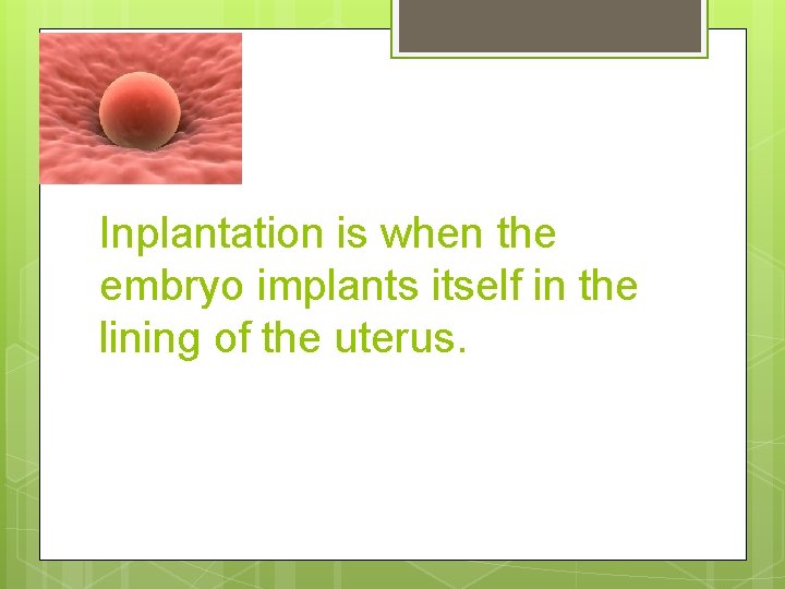 Inplantation is when the embryo implants itself in the lining of the uterus. 
