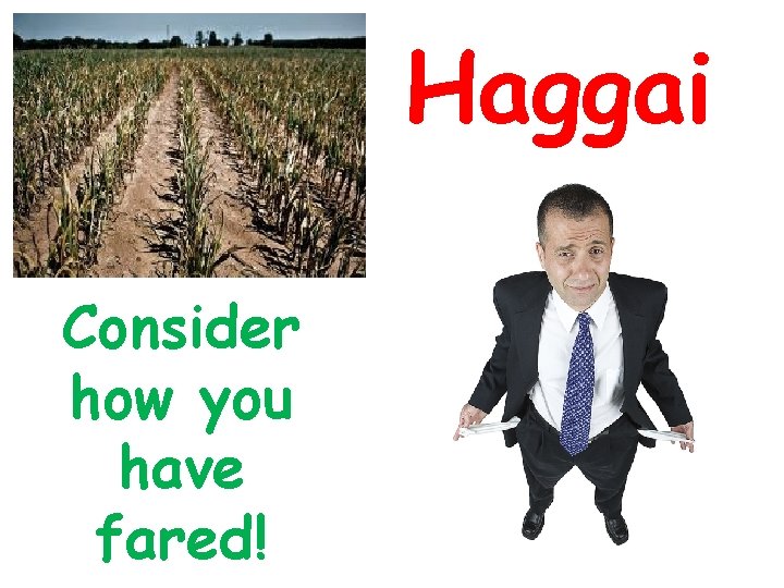 Haggai Consider how you have fared! 