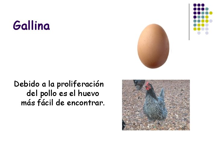 Gallina Debido a la proliferación del pollo es el huevo más fácil de encontrar.