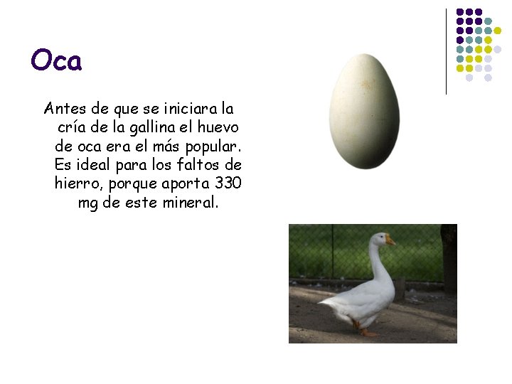 Oca Antes de que se iniciara la cría de la gallina el huevo de