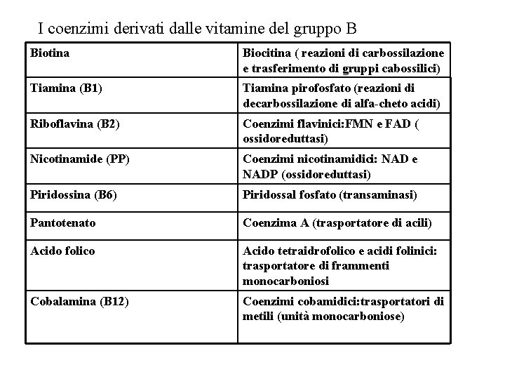 I coenzimi derivati dalle vitamine del gruppo B Biotina Biocitina ( reazioni di carbossilazione