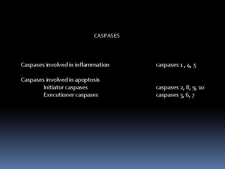 CASPASES Caspases involved in inflammation caspases 1 , 4, 5 Caspases involved in apoptosis