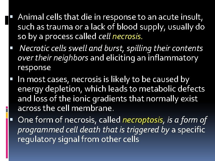  Animal cells that die in response to an acute insult, such as trauma