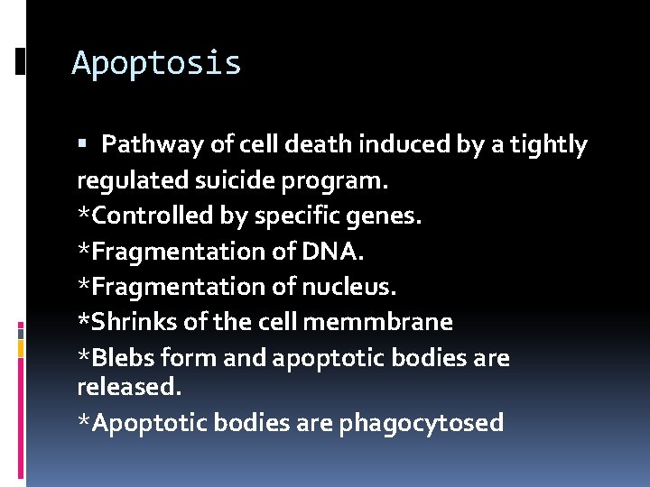 Apoptosis Pathway of cell death induced by a tightly regulated suicide program. *Controlled by