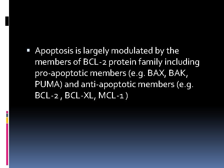  Apoptosis is largely modulated by the members of BCL-2 protein family including pro-apoptotic