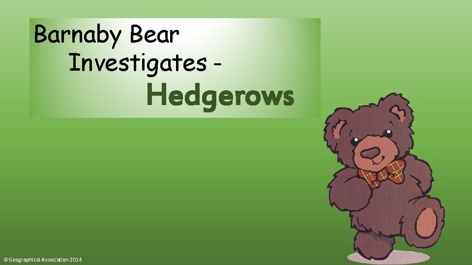 Barnaby Bear Investigates – Hedgerows ©Geographical Association 2014 