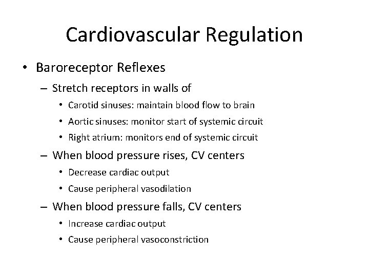 Cardiovascular Regulation • Baroreceptor Reflexes – Stretch receptors in walls of • Carotid sinuses: