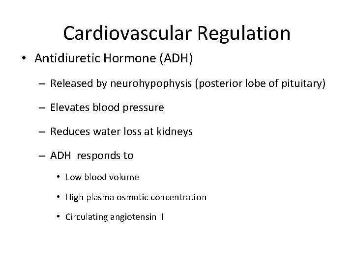 Cardiovascular Regulation • Antidiuretic Hormone (ADH) – Released by neurohypophysis (posterior lobe of pituitary)