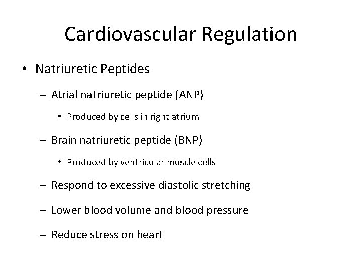 Cardiovascular Regulation • Natriuretic Peptides – Atrial natriuretic peptide (ANP) • Produced by cells