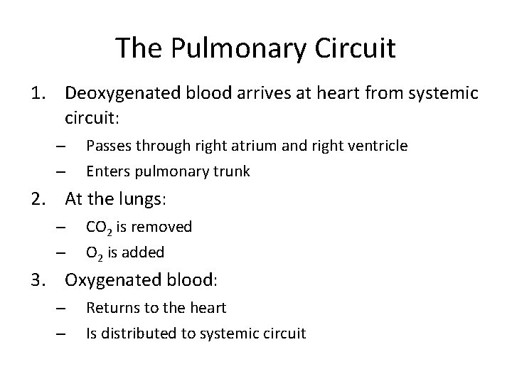 The Pulmonary Circuit 1. Deoxygenated blood arrives at heart from systemic circuit: – –