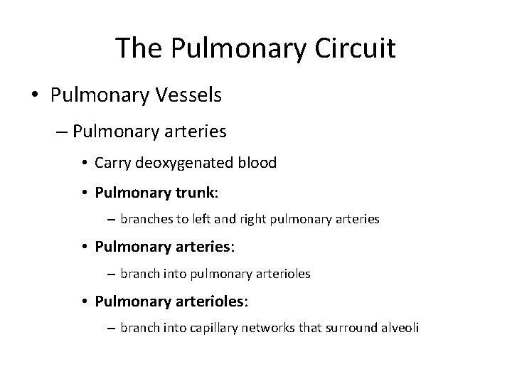The Pulmonary Circuit • Pulmonary Vessels – Pulmonary arteries • Carry deoxygenated blood •