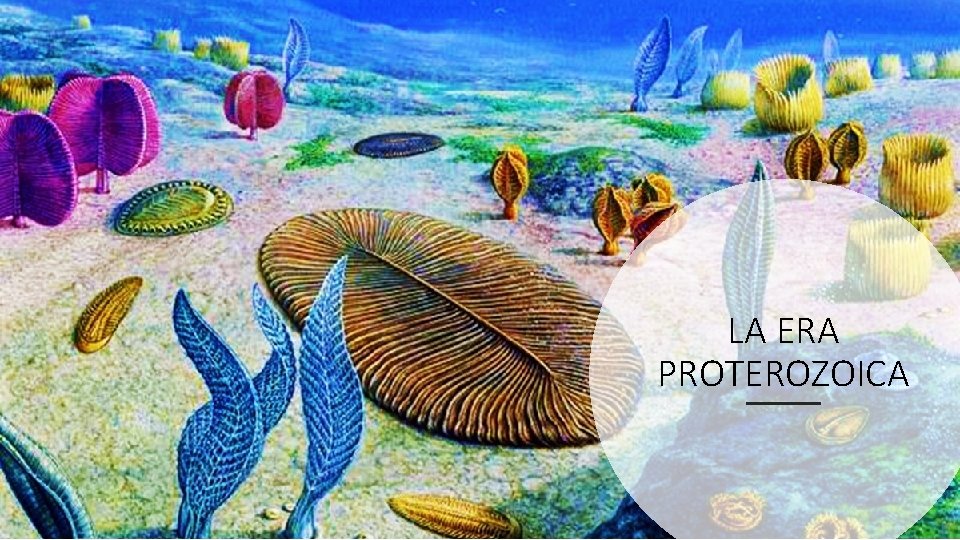 LA ERA PROTEROZOICA 