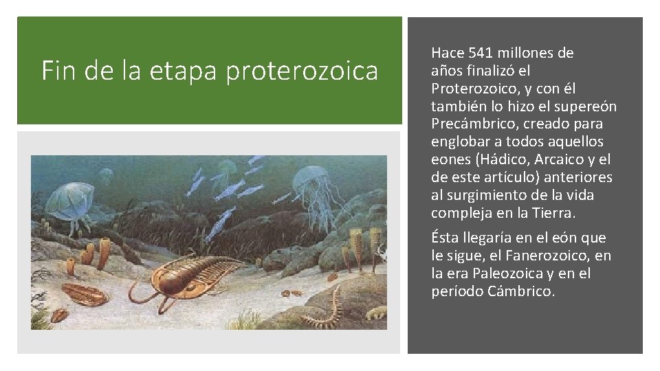 Fin de la etapa proterozoica Hace 541 millones de años finalizó el Proterozoico, y