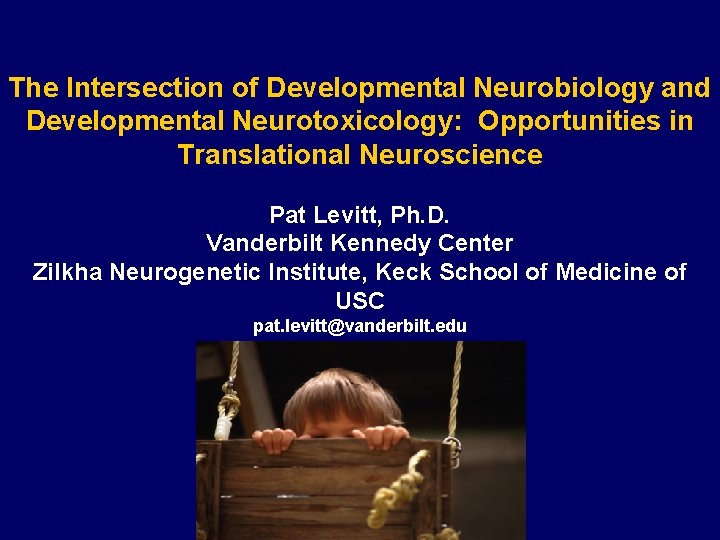The Intersection of Developmental Neurobiology and Developmental Neurotoxicology: Opportunities in Translational Neuroscience Pat Levitt,