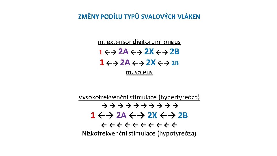 ZMĚNY PODÍLU TYPŮ SVALOVÝCH VLÁKEN m. extensor digitorum longus 1 ←→ 2 A ←→