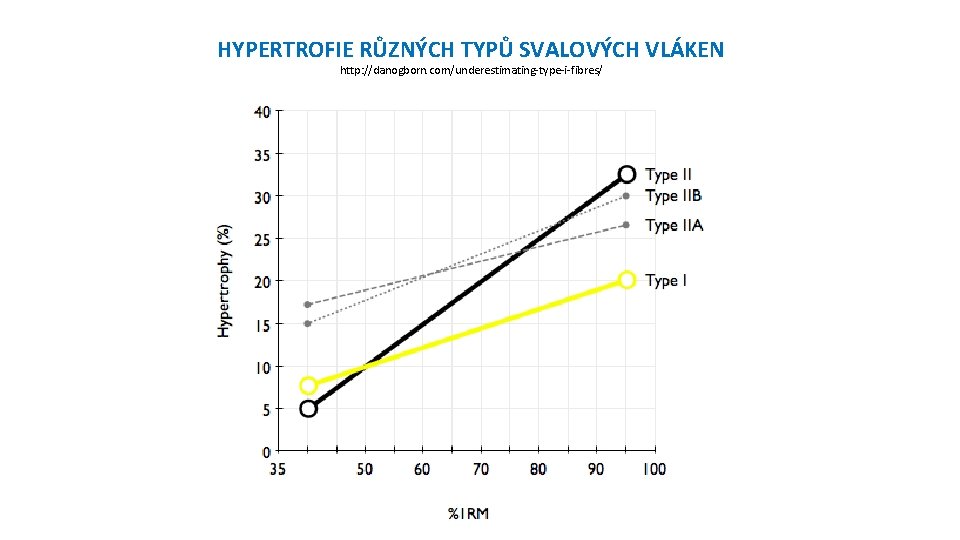 HYPERTROFIE RŮZNÝCH TYPŮ SVALOVÝCH VLÁKEN http: //danogborn. com/underestimating-type-i-fibres/ 