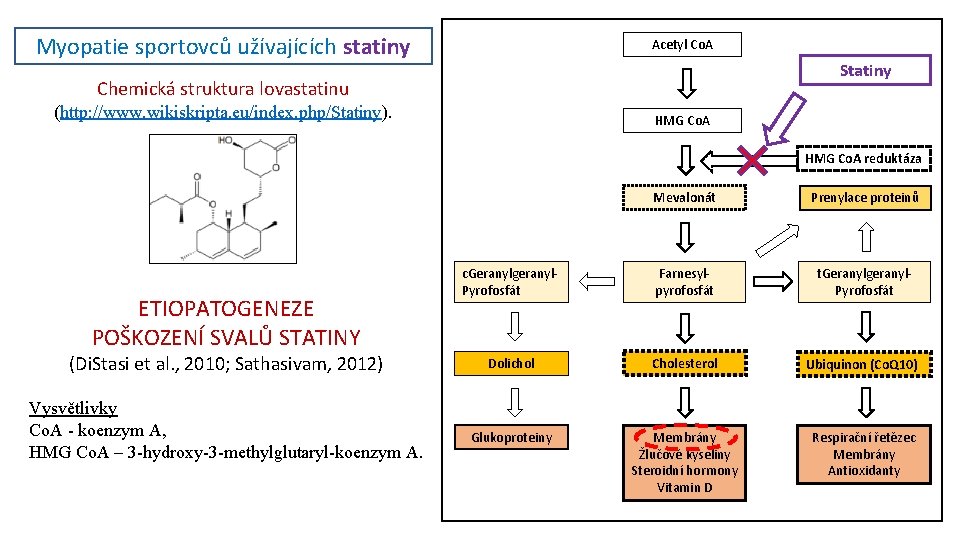 Myopatie sportovců užívajících statiny Acetyl Co. A Statiny Chemická struktura lovastatinu (http: //www. wikiskripta.