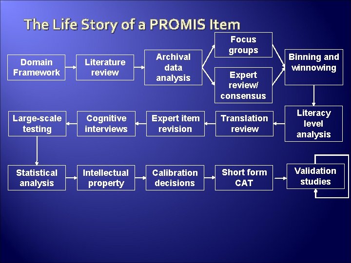 The Life Story of a PROMIS Item Focus groups Binning and winnowing Domain Framework