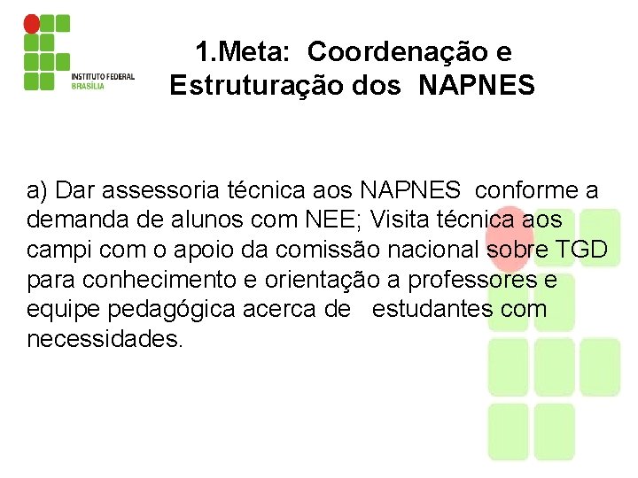 1. Meta: Coordenação e Estruturação dos NAPNES a) Dar assessoria técnica aos NAPNES conforme