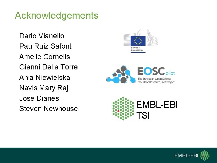 Acknowledgements Dario Vianello Pau Ruiz Safont Amelie Cornelis Gianni Della Torre Ania Niewielska Navis