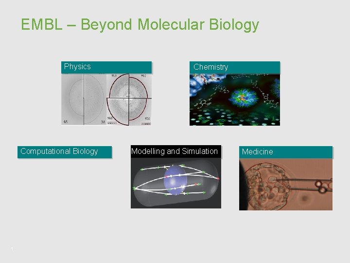 EMBL – Beyond Molecular Biology Physics Computational Biology 1 Chemistry Modelling and Simulation Medicine