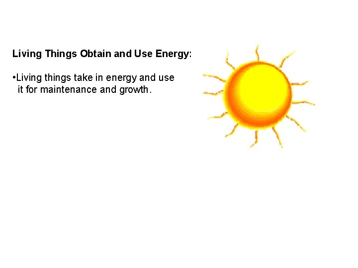 Living Things Obtain and Use Energy: • Living things take in energy and use