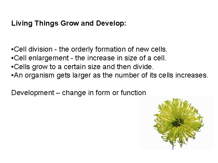 Living Things Grow and Develop: • Cell division - the orderly formation of new