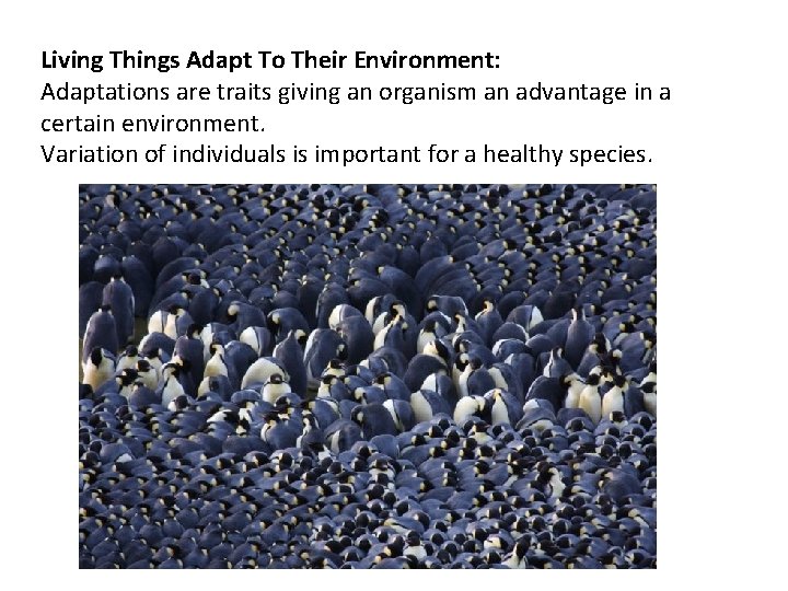 Living Things Adapt To Their Environment: Adaptations are traits giving an organism an advantage