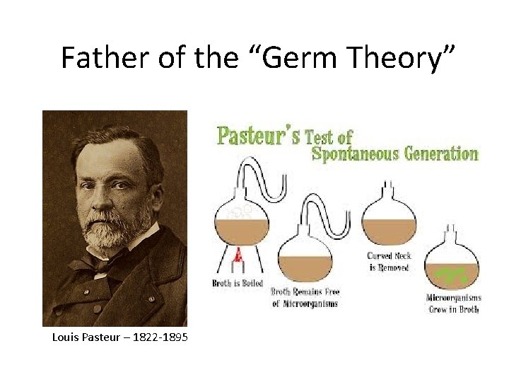 Father of the “Germ Theory” Louis Pasteur – 1822 -1895 