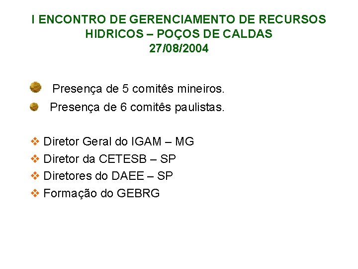 I ENCONTRO DE GERENCIAMENTO DE RECURSOS HIDRICOS – POÇOS DE CALDAS 27/08/2004 Presença de