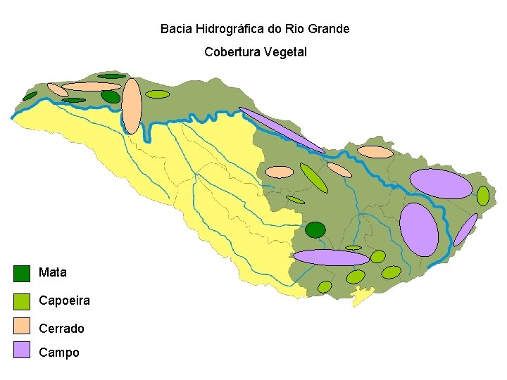 Bacia Hidrográfica do Rio Grande Cobertura Vegetal Mata Capoeira Cerrado Campo 