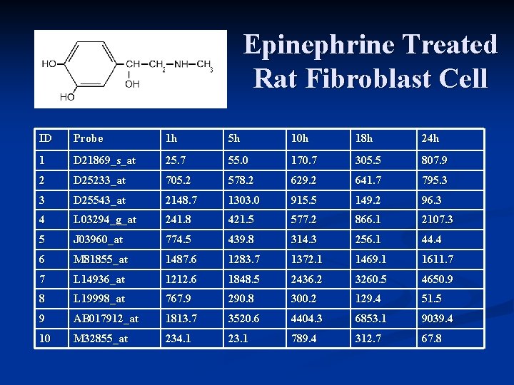 Epinephrine Treated Rat Fibroblast Cell ID Probe 1 h 5 h 10 h 18