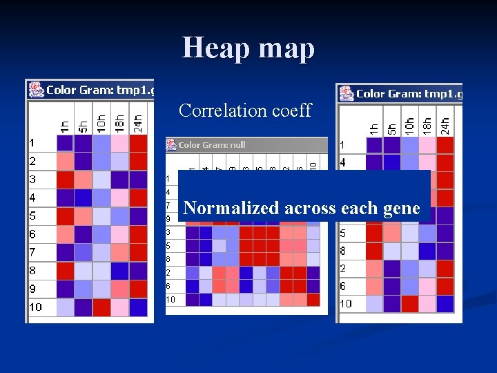 Heap map Correlation coeff Normalized across each gene 